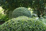 schlosspark-tiefurt-2009-041