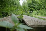 schlosspark-tiefurt-2009-047