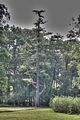 schloss_molsdorf_07_2016_hdr_07