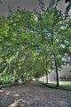 schloss_molsdorf_07_2016_hdr_20