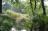 schloss_molsdorf_07_2016_orig_17