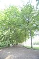 schloss_molsdorf_07_2016_orig_20