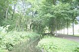 schloss_molsdorf_07_2016_orig_21