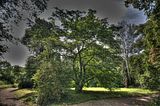 schloss_park_belvedere_07_2016_hdr_020