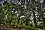 schloss_park_belvedere_07_2016_hdr_032