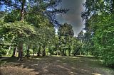 schloss_park_belvedere_07_2016_hdr_039