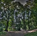 schloss_park_belvedere_07_2016_hdr_044