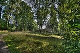 schloss_park_belvedere_07_2016_hdr_050