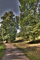 schloss_park_belvedere_07_2016_hdr_072