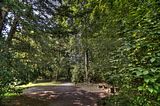 schloss_park_belvedere_07_2016_hdr_075