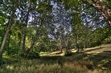 schloss_park_belvedere_07_2016_hdr_076