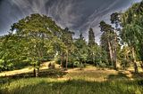 schloss_park_belvedere_07_2016_hdr_078