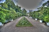 schloss_park_belvedere_07_2016_hdr_107