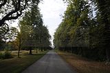 schloss_park_belvedere_07_2016_orig_001
