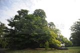 schloss_park_belvedere_07_2016_orig_009
