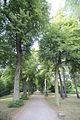 schloss_park_belvedere_07_2016_orig_012