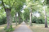 schloss_park_belvedere_07_2016_orig_013