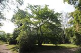 schloss_park_belvedere_07_2016_orig_017
