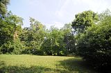 schloss_park_belvedere_07_2016_orig_019