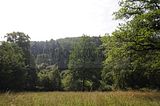 schloss_park_belvedere_07_2016_orig_023