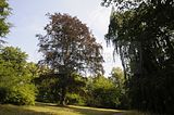 schloss_park_belvedere_07_2016_orig_027