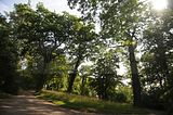 schloss_park_belvedere_07_2016_orig_029
