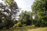 schloss_park_belvedere_07_2016_orig_030