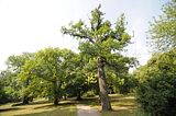 schloss_park_belvedere_07_2016_orig_031