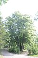 schloss_park_belvedere_07_2016_orig_033