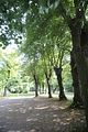 schloss_park_belvedere_07_2016_orig_038