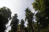 schloss_park_belvedere_07_2016_orig_049
