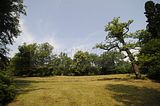 schloss_park_belvedere_07_2016_orig_056