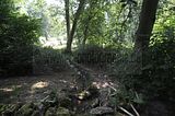 schloss_park_belvedere_07_2016_orig_060