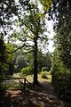schloss_park_belvedere_07_2016_orig_066