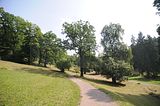 schloss_park_belvedere_07_2016_orig_067