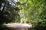 schloss_park_belvedere_07_2016_orig_072