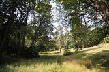 schloss_park_belvedere_07_2016_orig_073