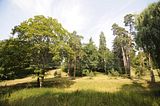 schloss_park_belvedere_07_2016_orig_075
