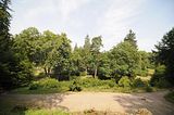 schloss_park_belvedere_07_2016_orig_080