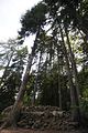 schloss_park_belvedere_07_2016_orig_082