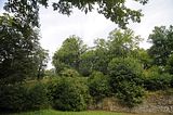 schloss_park_belvedere_07_2016_orig_084