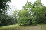 schloss_park_belvedere_07_2016_orig_085