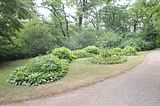 schloss_park_belvedere_07_2016_orig_086