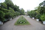 schloss_park_belvedere_07_2016_orig_103