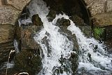 schlosspark-gotha-2009-011