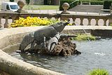 schlosspark-gotha-2009-031