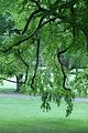schlosspark-gotha-2009-066