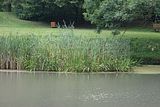 schlosspark-gotha-2009-067