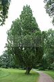 schlosspark-gotha-2009-070