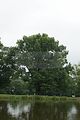schlosspark-gotha-2009-077